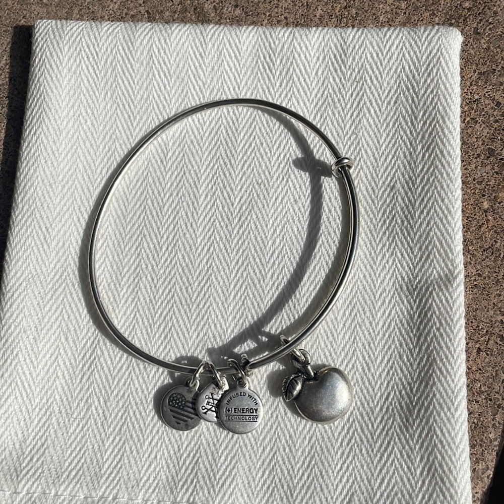 Alex and Ani Apple Bangle Bracelet Rare Charm silver